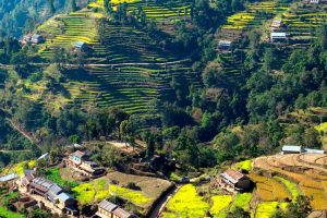 licensed-image licensed-image